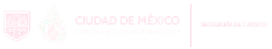 LOGO-CDMX-BLANCO